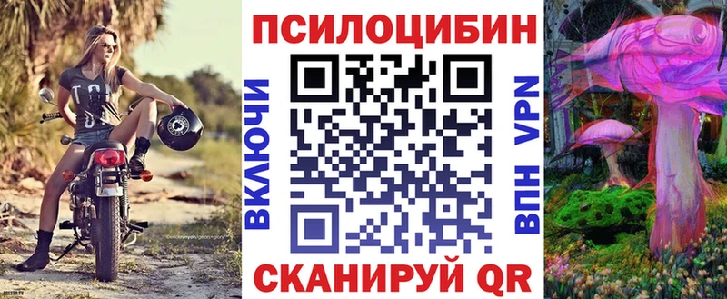 Псилоцибиновые грибы Cubensis  omg ссылки  Новоузенск  где продают  
